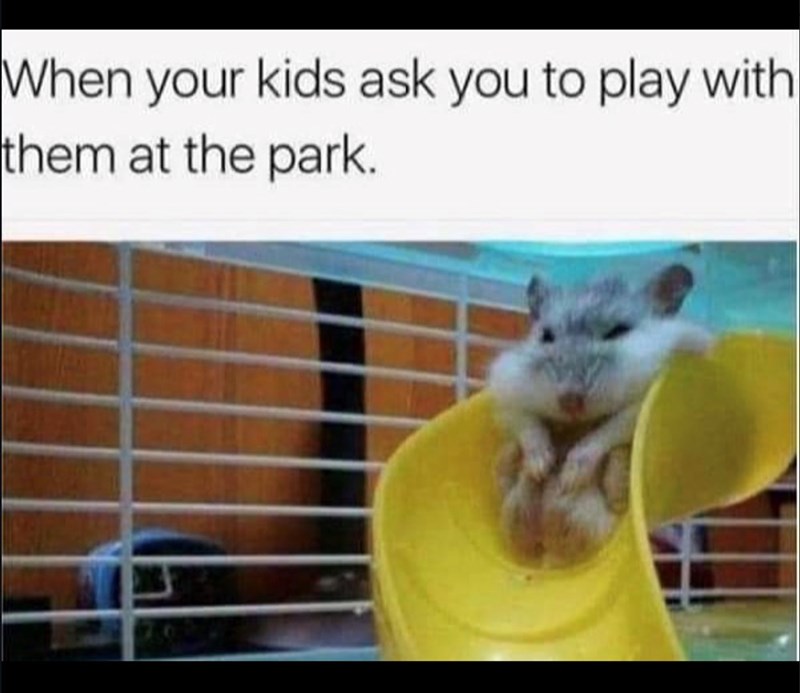 When your kids ask you to play with them at the park.