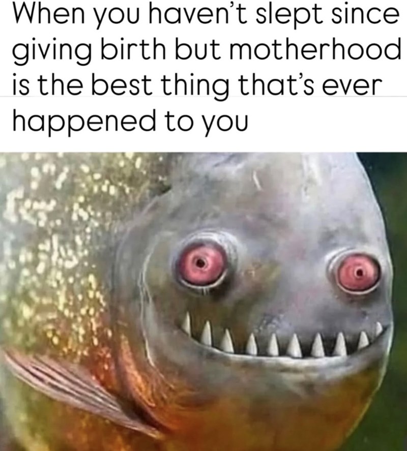 When you haven't slept since giving birth but motherhood is the best thing that's ever happened to you
