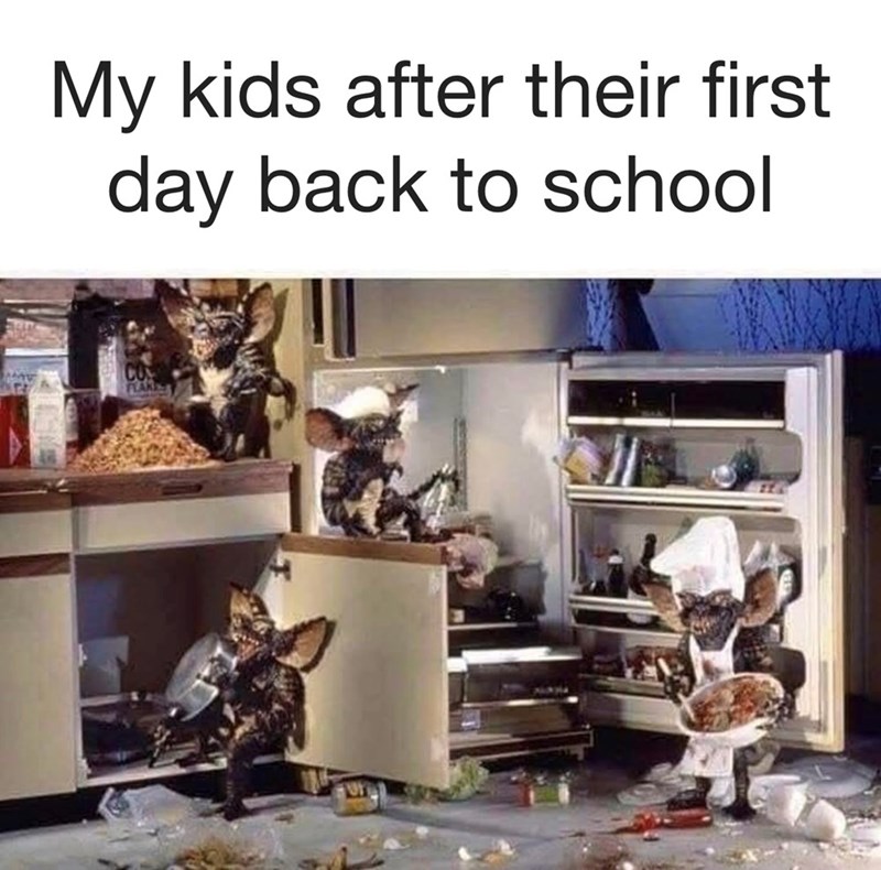 My kids after their first day back to school CO FLAN