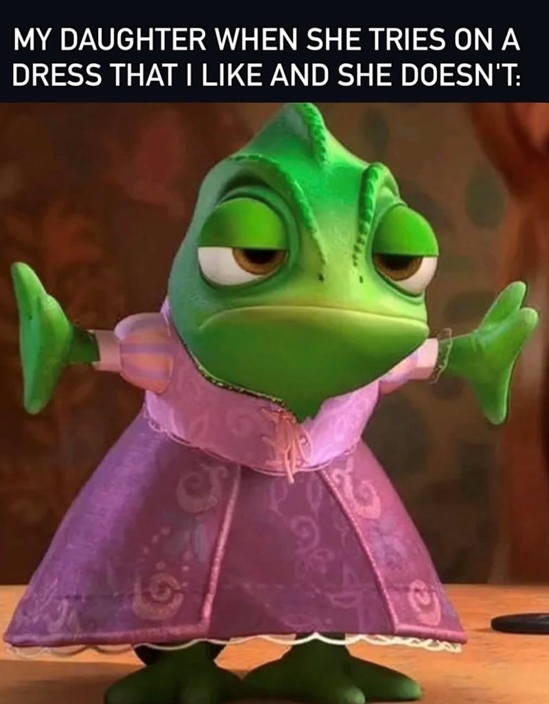 MY DAUGHTER WHEN SHE TRIES ON A DRESS THAT I LIKE AND SHE DOESN'T: