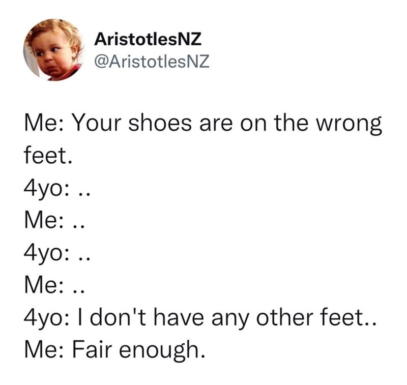 AristotlesNZ @AristotlesNZ Me: Your shoes are on the wrong feet. 4yo: .. Me: .. 4yo: .. Me: .. 4yo: I don't have any other feet.. Me: Fair enough.