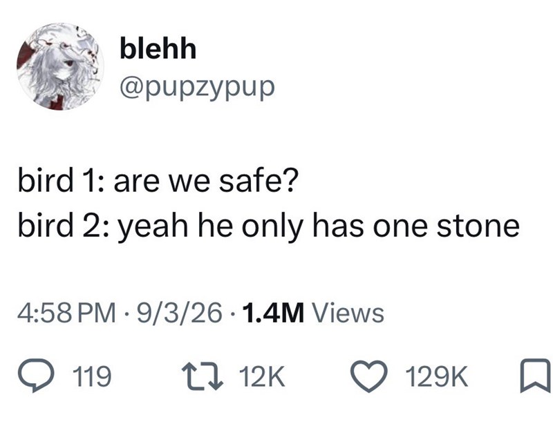 blehh @pupzypup bird 1: are we safe? bird 2: yeah he only has one stone 4:58 PM 9/3/26 1.4M Views . • D 119 12K 129K