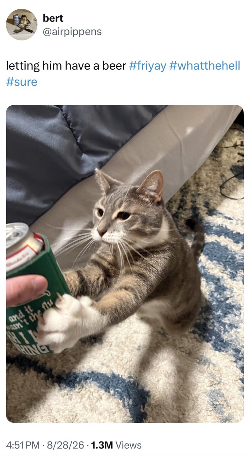 bert @airpippens letting him have a beer #friyay #whatthehell #sure flu and it asn't the HING 4:51 PM 8/28/26 1.3M Views