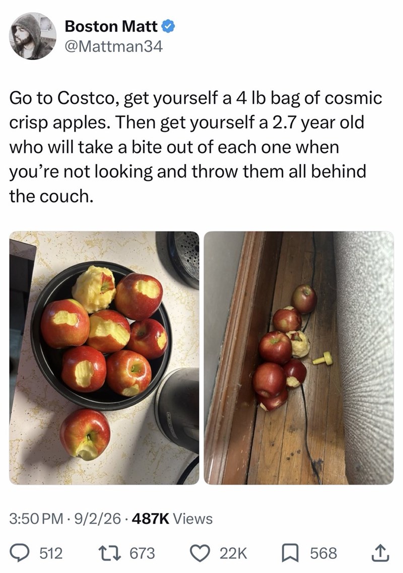 Boston Matt @Mattman34 Go to Costco, get yourself a 4 lb bag of cosmic crisp apples. Then get yourself a 2.7 year old who will take a bite out of each one when you're not looking and throw them all behind the couch. 3:50 PM 9/2/26 487K Views 512 1673 22K 568 ↑