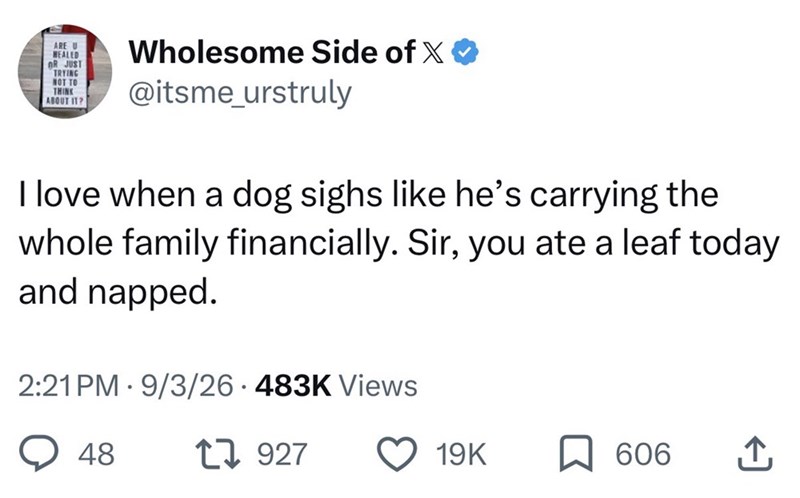 ARE U HEALED OR JUST TRYING NOT TO THINK ABOUT IT? Wholesome Side of X ❤ @itsme_urstruly I love when a dog sighs like he's carrying the whole family financially. Sir, you ate a leaf today and napped. 2:21 PM 9/3/26 483K Views 48 1927 19K 606