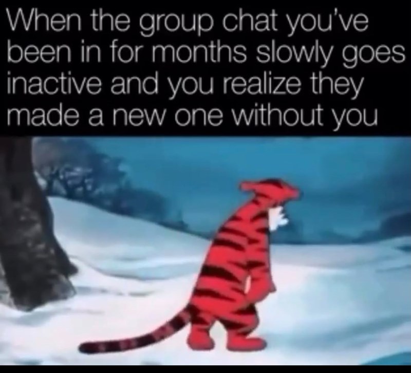 When the group chat you've been in for months slowly goes inactive and you realize they made a new one without you