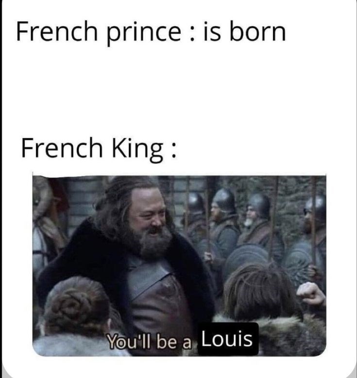 French prince is born French King: You'll be a Louis