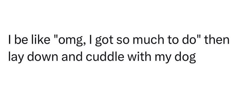 I be like "omg, I got so much to do" then lay down and cuddle with my dog