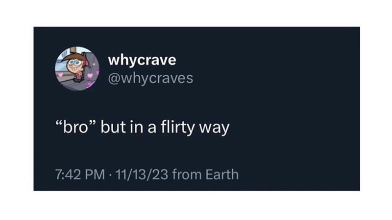 whycrave @whycraves "bro" but in a flirty way 7:42 PM 11/13/23 from Earth .