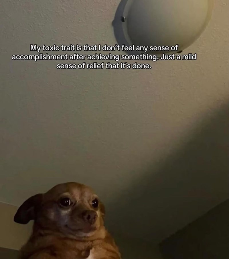 My toxic trait is that I don't feel any sense of accomplishment after achieving something. Just a mild sense of relief that it's done.