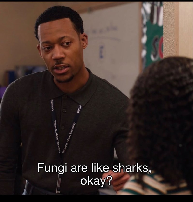 Elementary Willard R. Abbott Elementary Willard R. Abbott Elementary Fungi are like sharks, okay?
