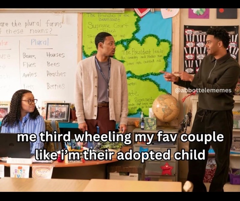 are the plural forms these nouns? Plural The Branches of the Government Supreme Court Imp dc Tues es and lar use Boxes Houses Flies Bees Apples Peaches Lents Berries The President leads the country and makes sure Taws are carried ou TAT arts: ate Represent rade and d @abbottelememes me third wheeling my fav couple like i'm their adopted child