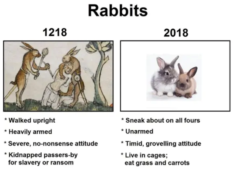 1218 Rabbits 2018 * Walked upright * Heavily armed * Severe, no-nonsense attitude * Kidnapped passers-by for slavery or ransom Sneak about on all fours * Unarmed Timid, grovelling attitude *Live in cages; eat grass and carrots