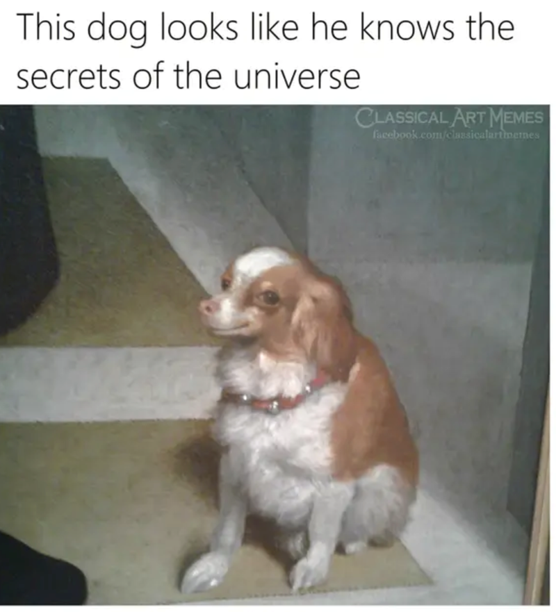 This dog looks like he knows the secrets of the universe CLASSICAL ART MEMES facebook.com/classicalartmemes
