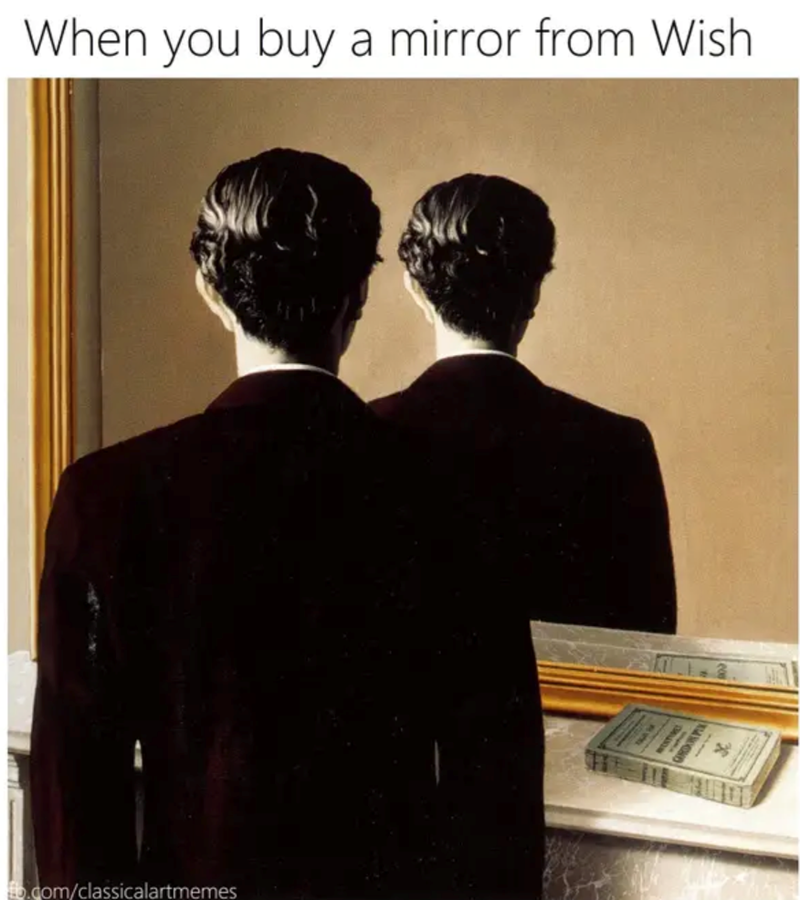When you buy a mirror from Wish fb.com/classicalartmemes