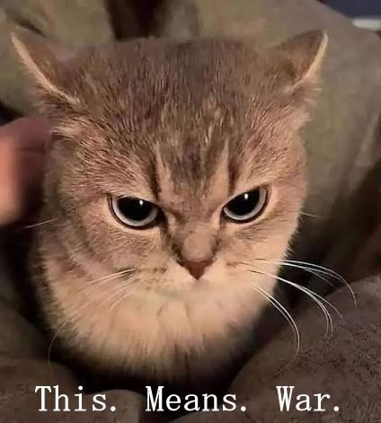 This. Means. War.