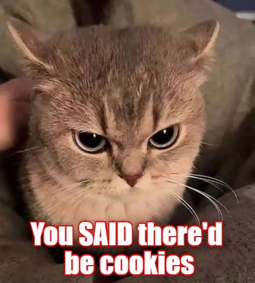 You SAID there'd be cookies