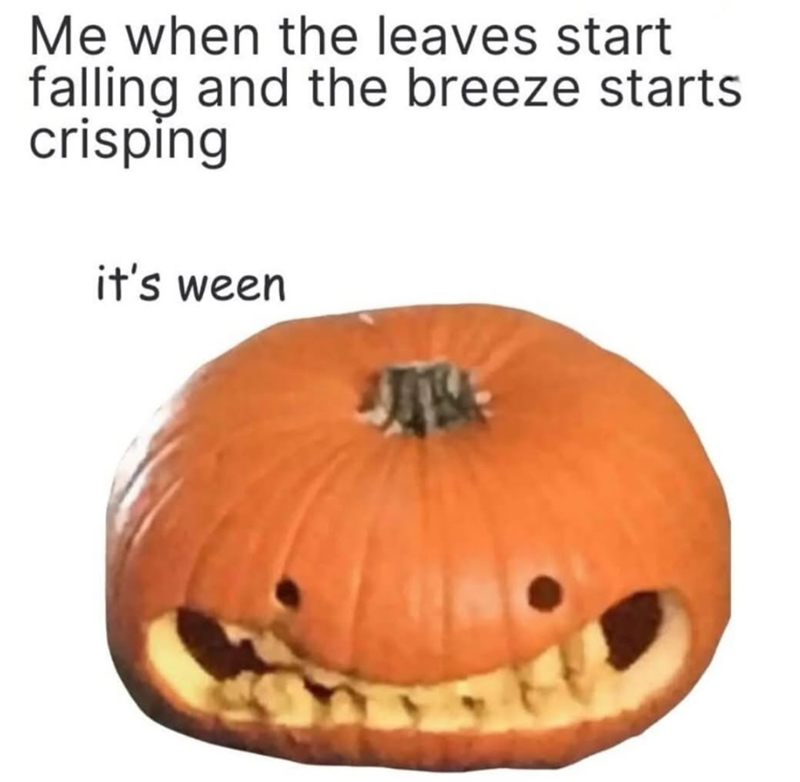 Me when the leaves start falling and the breeze starts crisping it's ween JUBA