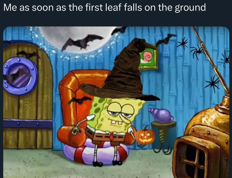Me as soon as the first leaf falls on the ground