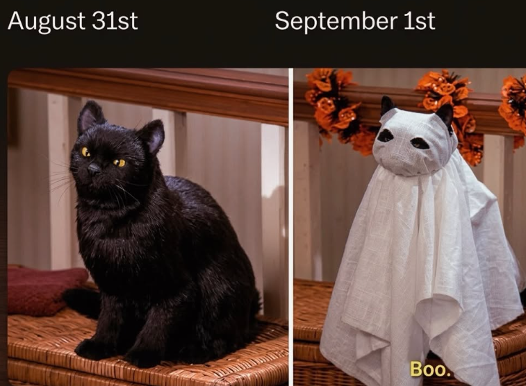 August 31st September 1st Boo.