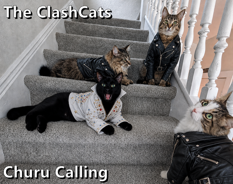 The ClashCats Churu Calling
