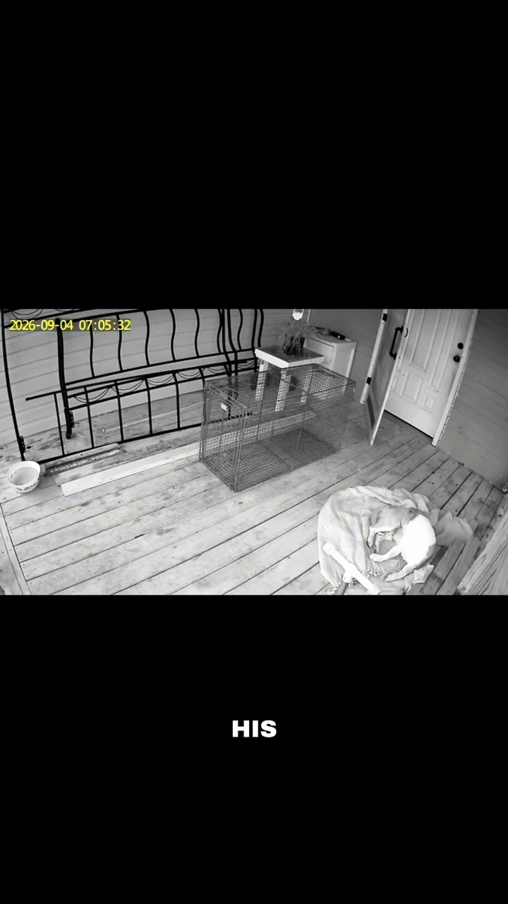 2026-09-04 07:05:32 HIS