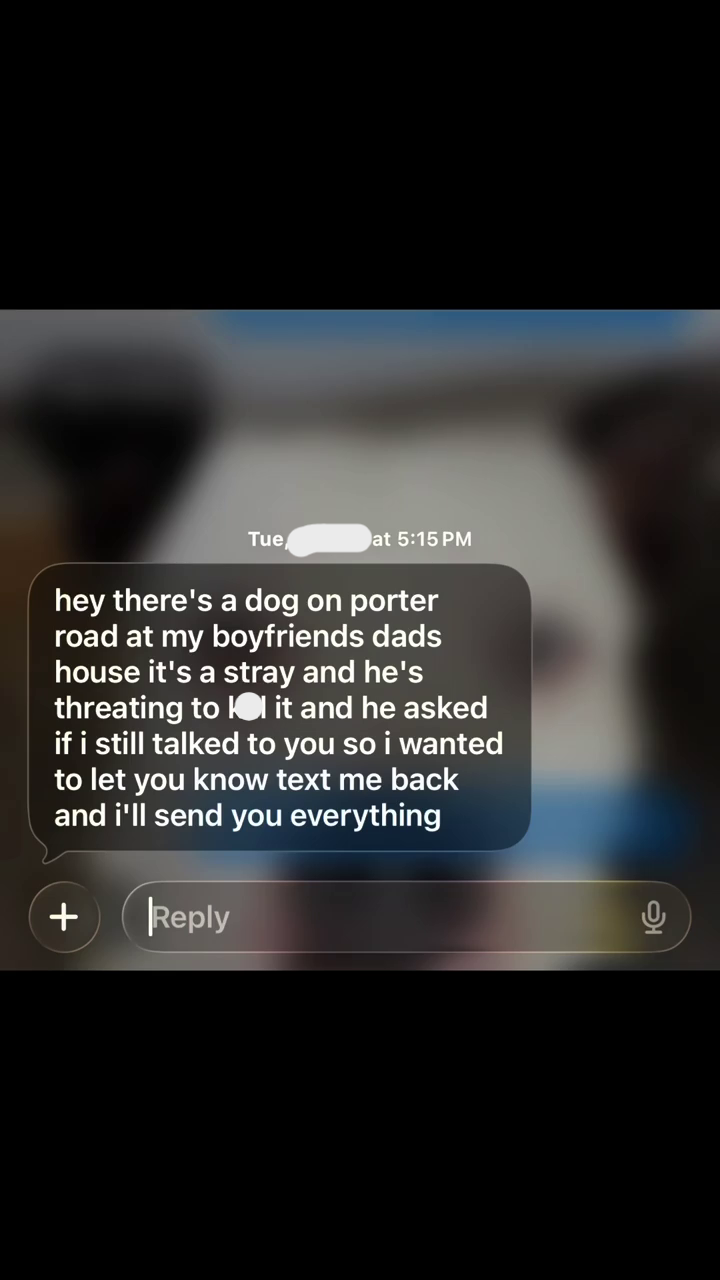 Tue at 5:15 PM hey there's a dog on porter road at my boyfriends dads house it's a stray and he's threating to it and he asked if i still talked to you so i wanted to let you know text me back and i'll send you everything + Reply 0
