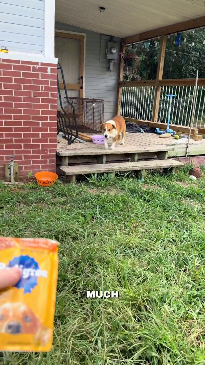 MUCH