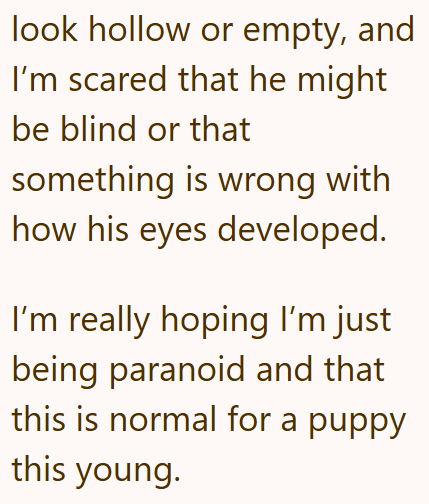 look hollow or empty, and I'm scared that he might be blind or that something is wrong with how his eyes developed. I'm really hoping I'm just being paranoid and that this is normal for a puppy this young.