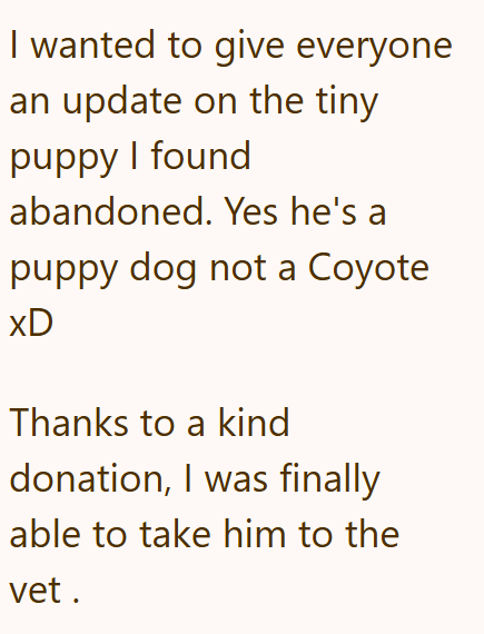 I wanted to give everyone an update on the tiny puppy I found abandoned. Yes he's a puppy dog not a Coyote xD Thanks to a kind donation, I was finally able to take him to the vet.