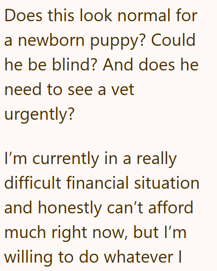 Does this look normal for a newborn puppy? Could he be blind? And does he need to see a vet urgently? I'm currently in a really difficult financial situation and honestly can't afford much right now, but I'm willing to do whatever I