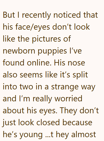 But I recently noticed that his face/eyes don't look like the pictures of newborn puppies I've found online. His nose also seems like it's split into two in a strange way and I'm really worried about his eyes. They don't just look closed because he's young ...t hey almost
