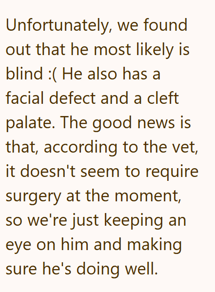 Unfortunately, we found out that he most likely is blind (He also has a facial defect and a cleft palate. The good news is that, according to the vet, it doesn't seem to require surgery at the moment, so we're just keeping an eye on him and making sure he's doing well.