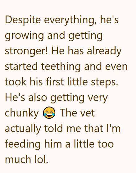 Despite everything, he's growing and getting stronger! He has already started teething and even took his first little steps. He's also getting very chunky The vet actually told me that I'm feeding him a little too much lol.