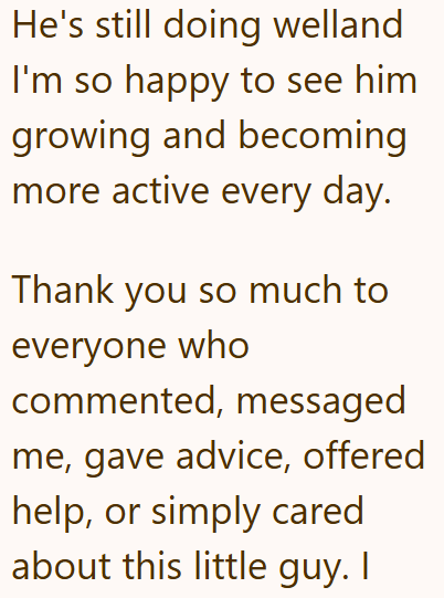 He's still doing welland I'm so happy to see him growing and becoming more active every day. Thank you so much to everyone who commented, messaged me, gave advice, offered help, or simply cared about this little guy. I