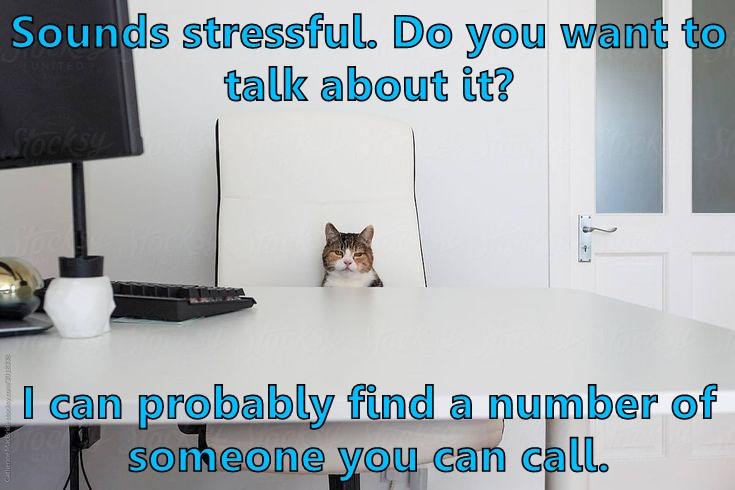 Sounds stressful. Do you want to FUNITEL talk about it? Stocksy I can probably find a number of someone you can call.