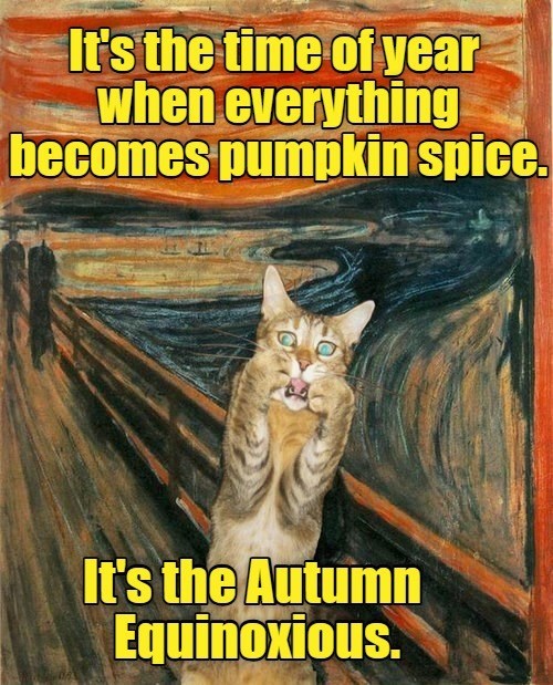 It's the time of year when everything becomes pumpkin spice. It's the Autumn Equinoxious.