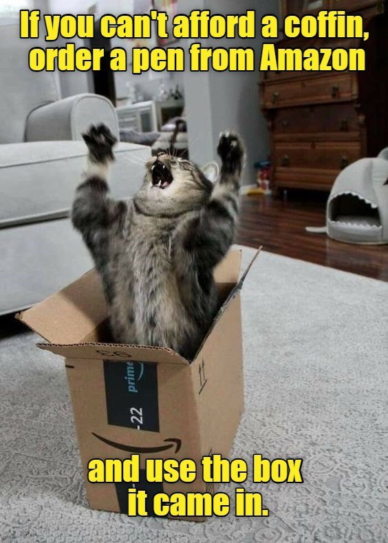 -22 prime If you can't afford a coffin, order a pen from Amazon and use the box it came in.