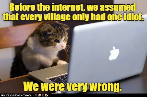 Before the internet, we assumed that every village only had one idiot. We were very wrong. ICANHASCHEEZBURGER.COM