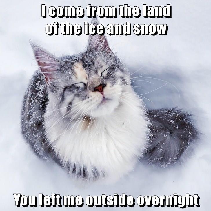 I come from the land of the ice and snow You left me outside overnight