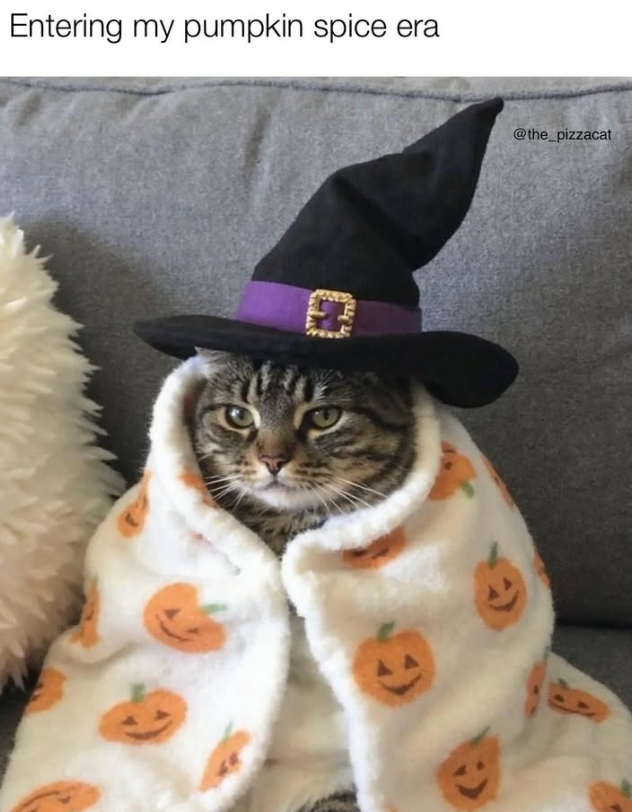 Entering my pumpkin spice era @the_pizzacat