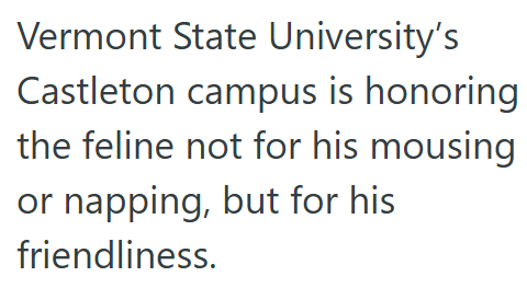 Vermont State University's Castleton campus is honoring the feline not for his mousing or napping, but for his friendliness.