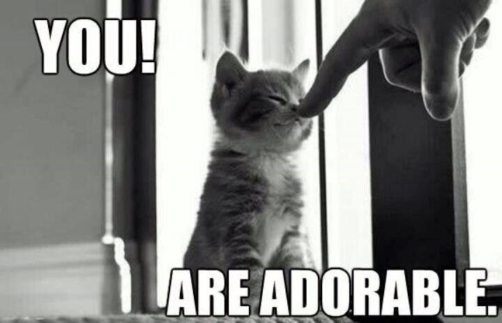 YOU! LARE ADORABLE.
