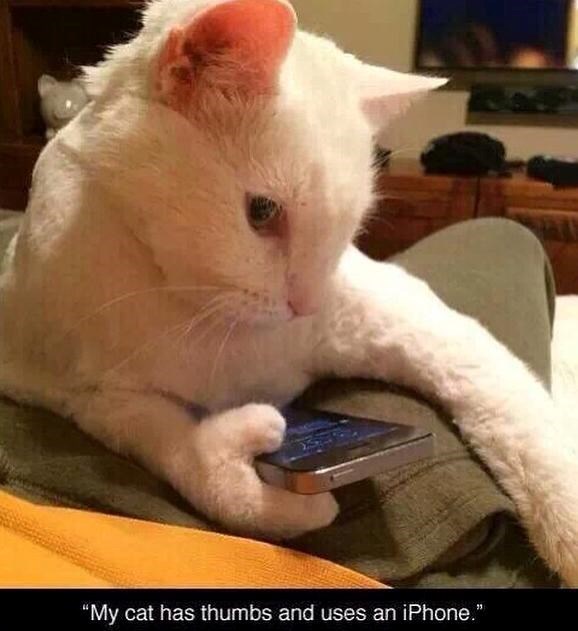 "My cat has thumbs and uses an iPhone."