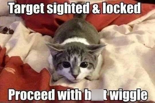 Target sighted & locked Proceed with b twiggle