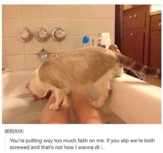 grayxvx: You're putting way too much faith on me. If you slip we're both screwed and that's not how I wanna di .