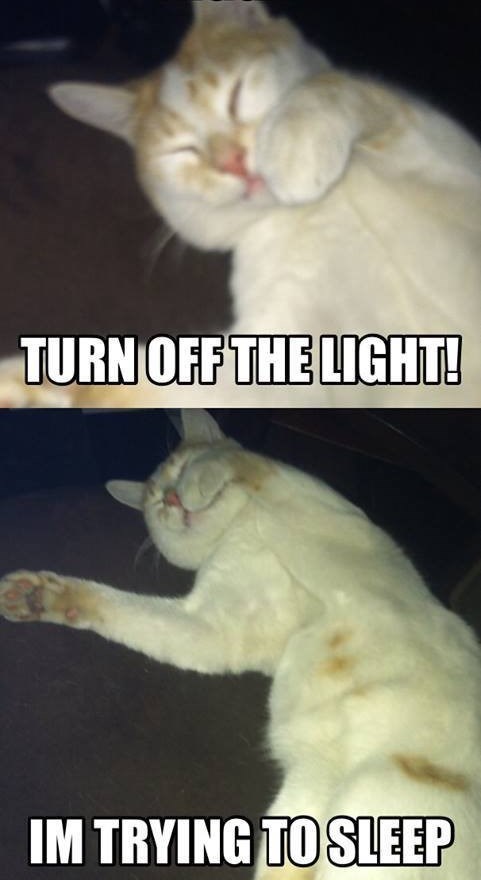 TURN OFF THE LIGHT! IM TRYING TO SLEEP