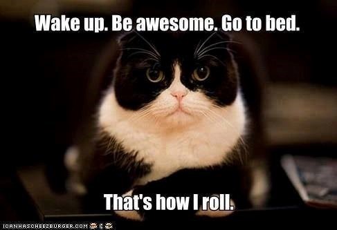 Wake up. Be awesome. Go to bed. (CANHASCHEEZBURGER.COM That's how I roll.