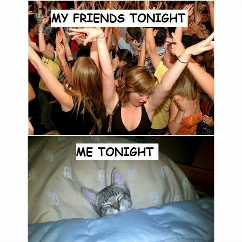 MY FRIENDS TONIGHT ME TONIGHT