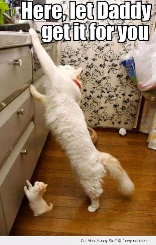 Here, let Daddy get it for you Get More Funny Stuff @ funnyasduck.net